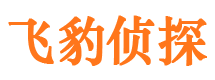 灵寿侦探公司